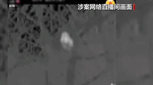 网络主播为“涨粉”直播猎鸟5名团队人员被沈阳警方抓获！(图3)