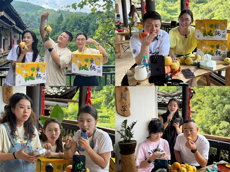 望城：党建红赋能数字蓝 助洗车河黄桃打通“出山通道”