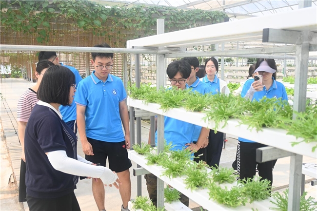 山东科技大学 科技赋能粮食安全 青春助力乡村振兴(图2)